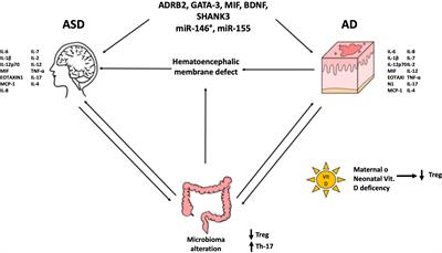 Common pathogenetic traits of atopic dermatitis and autism spectrum disorders, potential connections and treatments: trivial Th2 inflammation or much more?